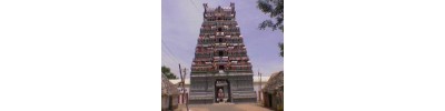 16.விருச்சிக விநாயகர்- தமிழ்நாடு